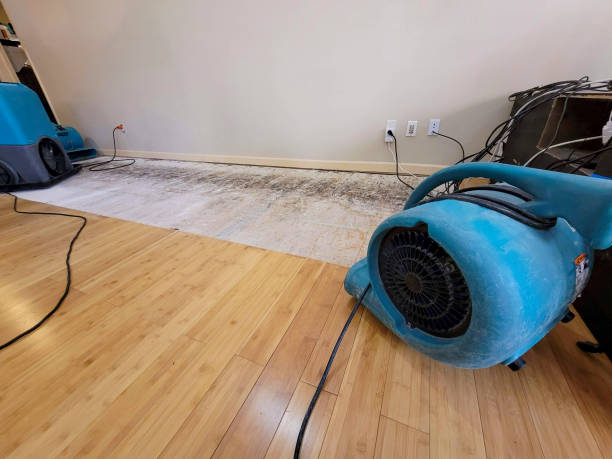 Professional Flood Damage Cleanup technician working in Sunset, LA